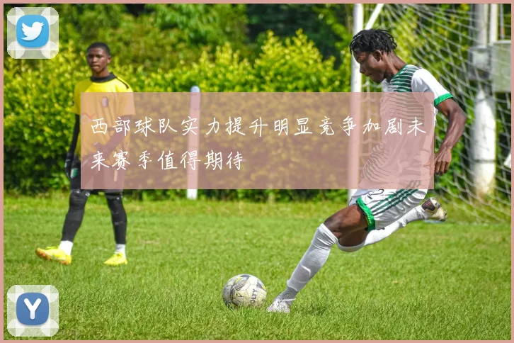 西部球队实力提升明显竞争加剧未来赛季值得期待