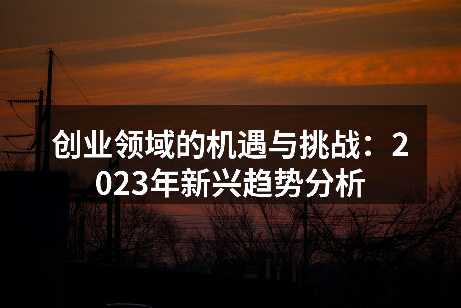 创业领域的机遇与挑战：2023年新兴趋势分析